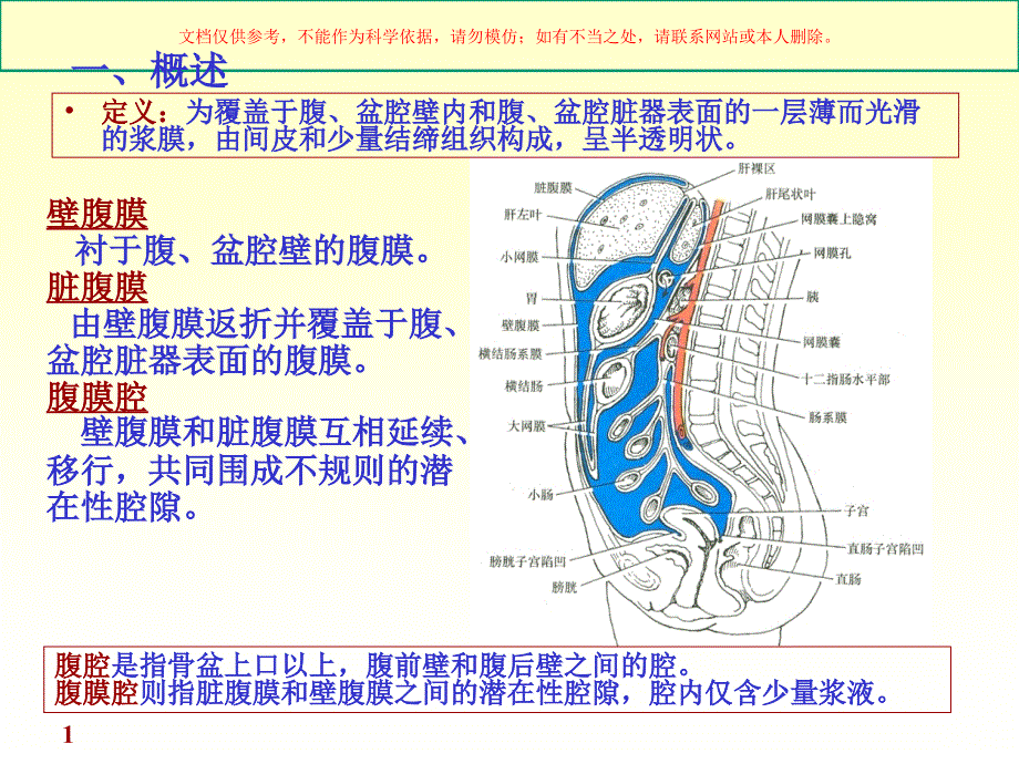 腹膜医学知识讲座培训课件_第1页