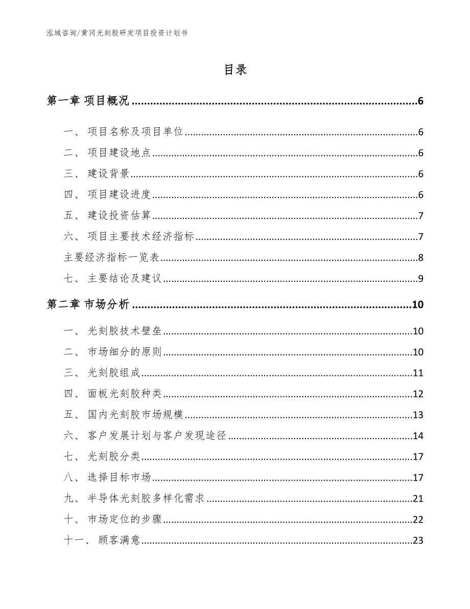 黄冈光刻胶研发项目投资计划书范文参考_第1页