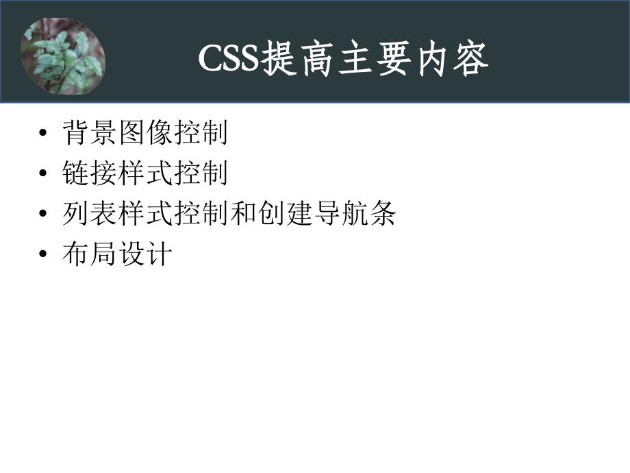 CSS提高主要内容_第1页