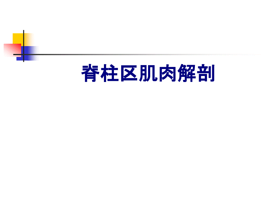 脊柱区肌肉解剖培训课件_第1页