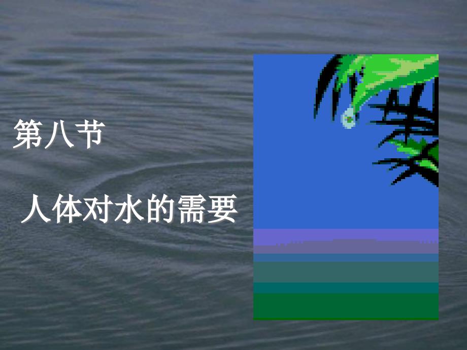 人体对水的需要课件_第1页