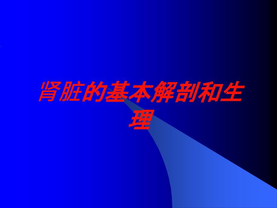 肾脏的基本解剖和生理培训课件_第1页