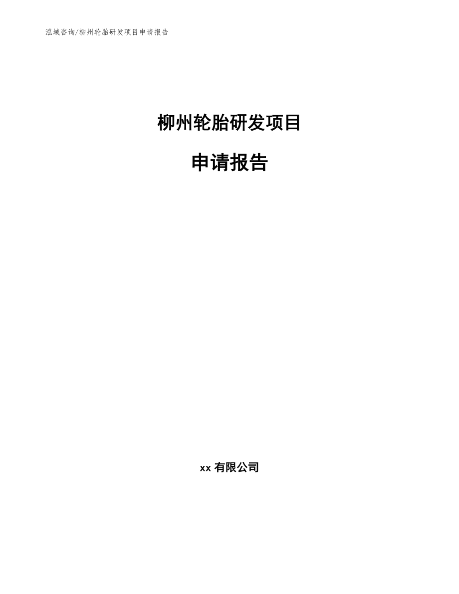 柳州轮胎研发项目申请报告_第1页