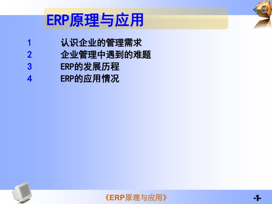 ERP原理与实际应用概述_第1页