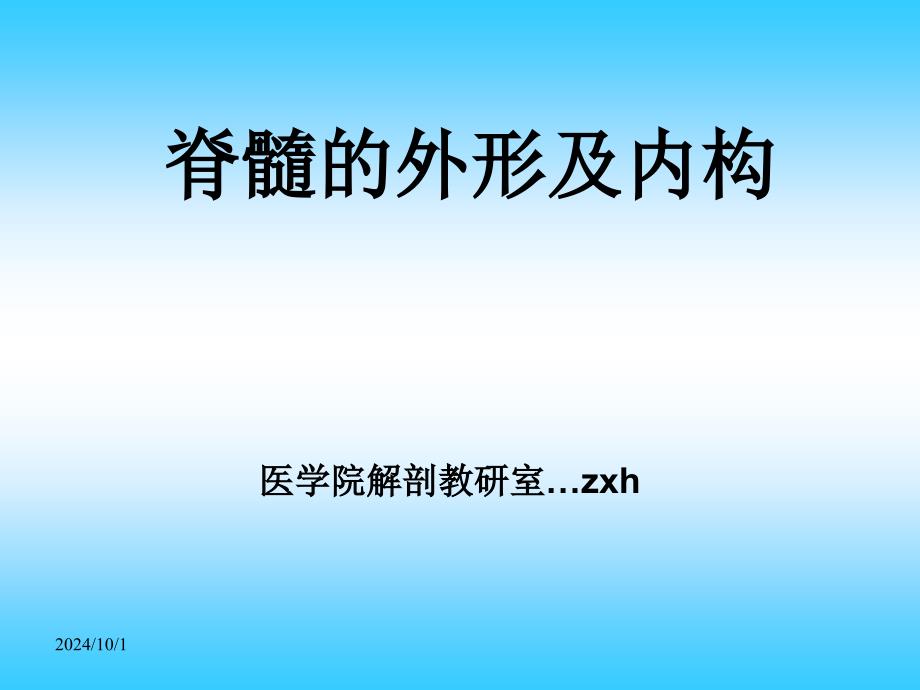 脊髓的外形及内构教材课件_第1页