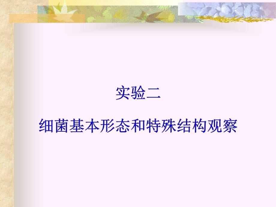 实验二细菌基本形态及特殊结构观察课件_第1页