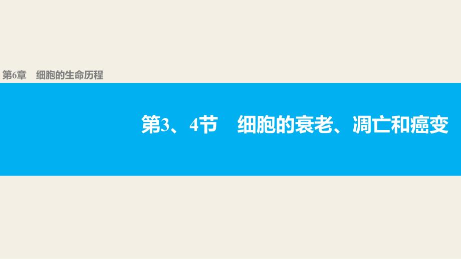 高中生物-4细胞的衰老、凋亡和癌变课件_第1页