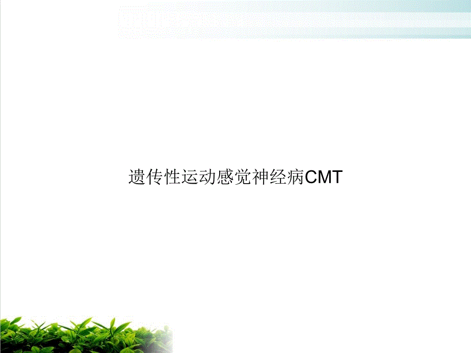 遗传性运动感觉神经病CMT培训课件_第1页