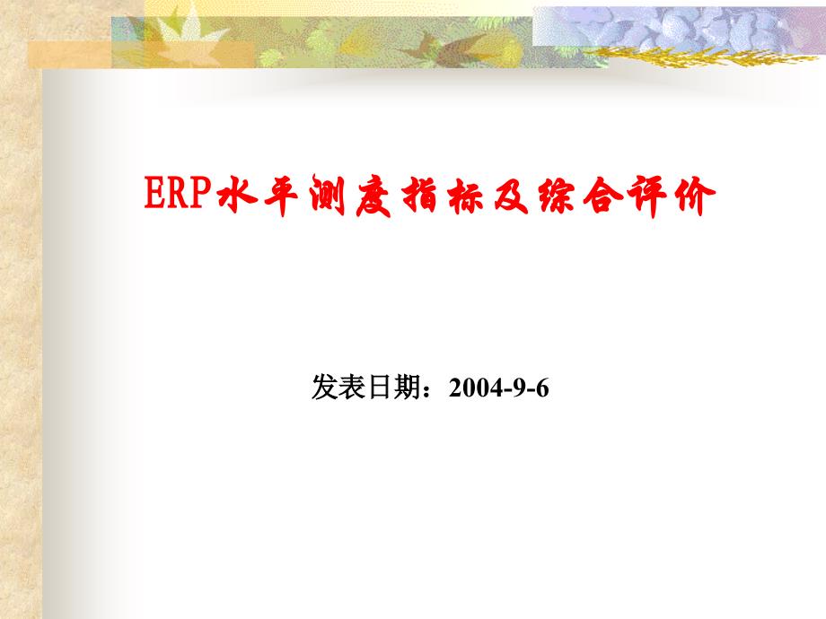 ERP水平测度指标及综合评价（PPT 17）_第1页