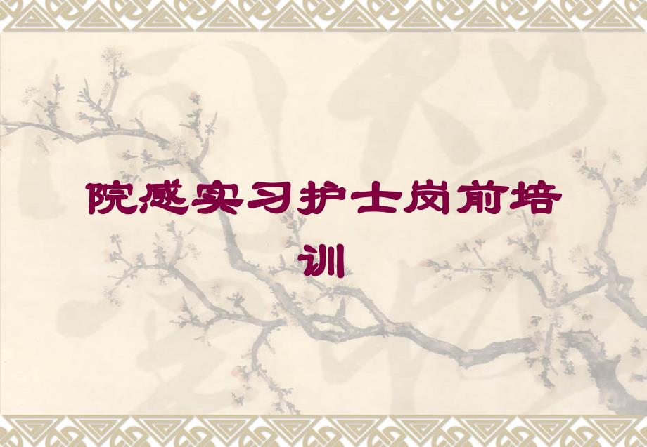 院感实习护士岗前培训培训课件_第1页