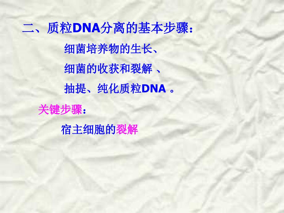 质粒DNA的提取课件_第1页