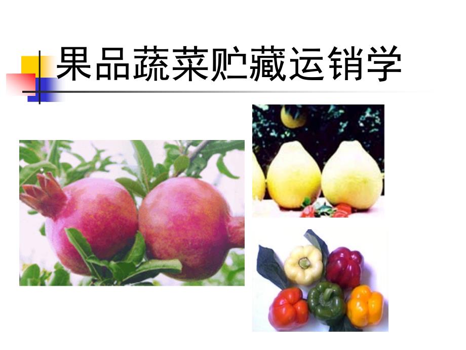 果品蔬菜贮藏运销学-1-课件_第1页