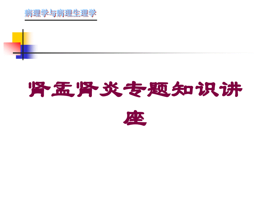 肾盂肾炎专题知识讲座培训课件_第1页