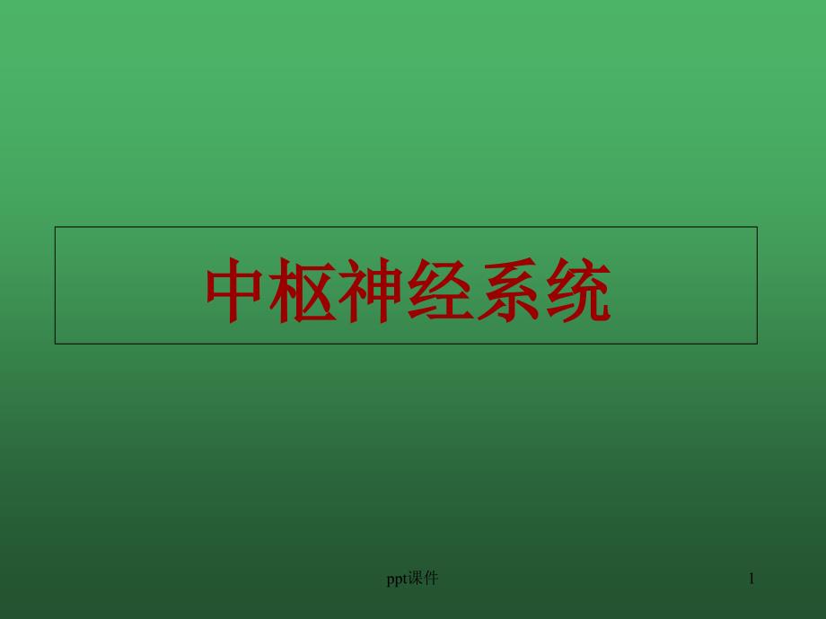 中枢神经系统--课件2_第1页