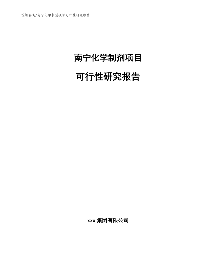 南宁化学制剂项目可行性研究报告_第1页