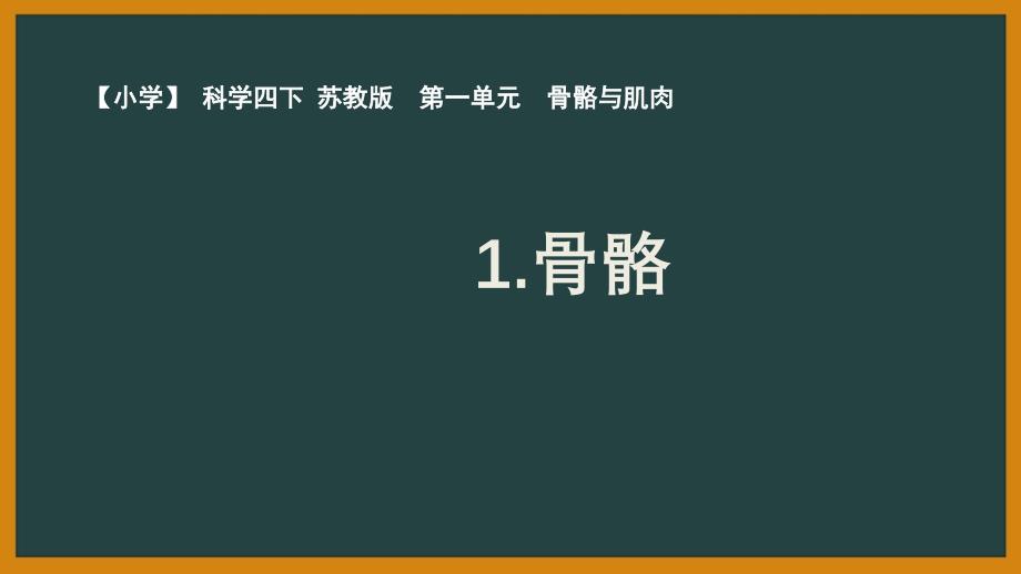 苏教版小学科学四年级下册第一单元第1课优秀课件《骨骼》_第1页