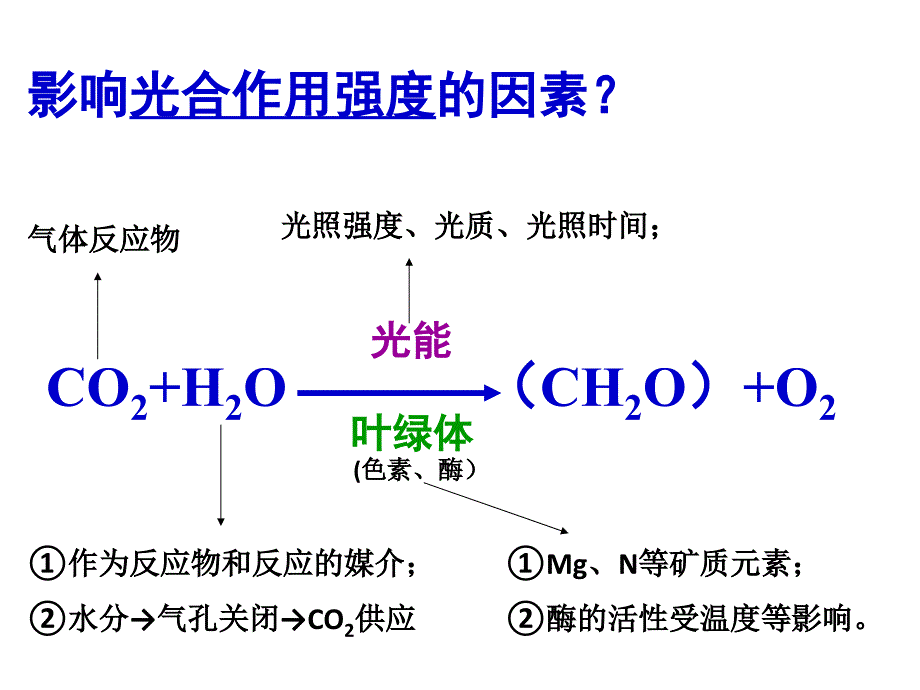 影响光合作用强度的因素分解课件_第1页