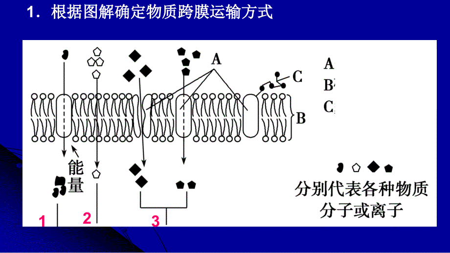 G1308 物质跨膜运输的方式_第1页