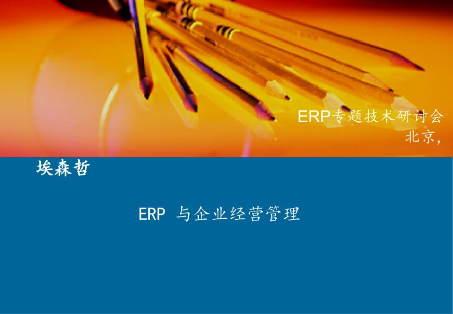 Accenture-ERP_与企业经营管理_第1页