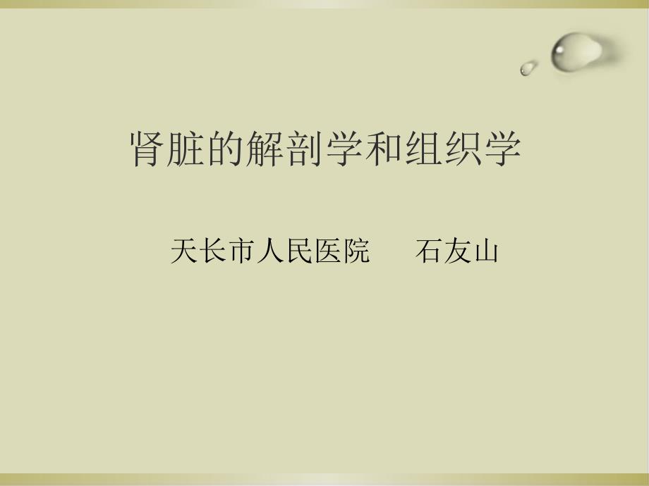 肾脏的解剖学和组织学培训教材30课件_第1页