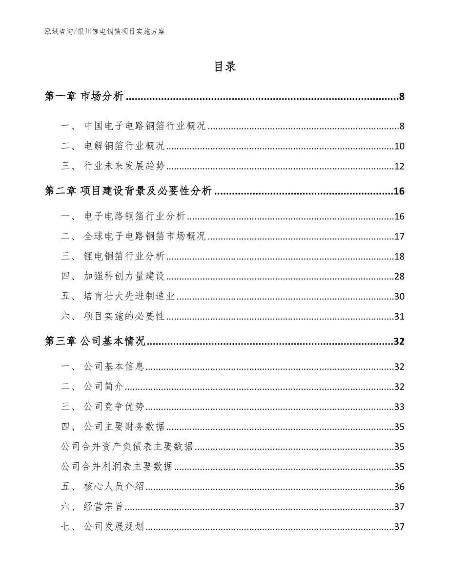 银川锂电铜箔项目实施方案_模板参考_第1页