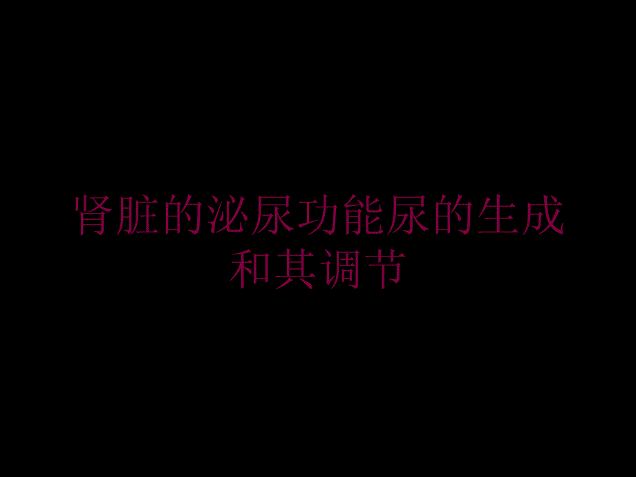 肾脏的泌尿功能尿的生成和其调节培训课件_第1页