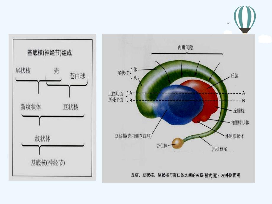 颅内对称性病变课件_第1页