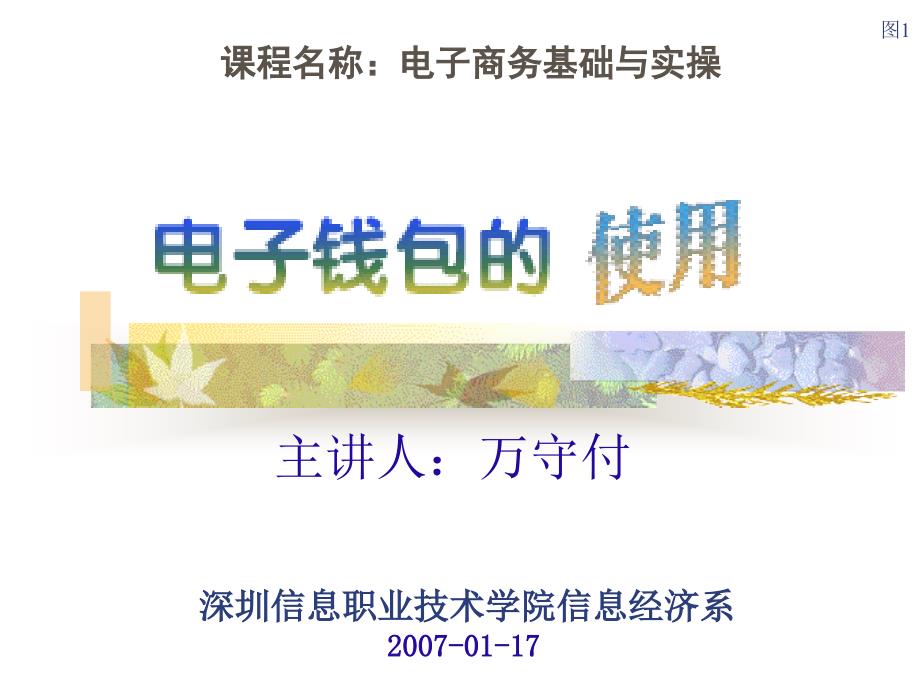 33电子商务的交易模式与应用层次_第1页