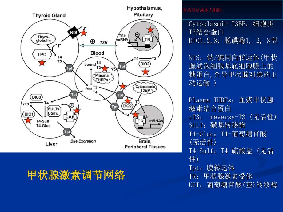 妊娠合并甲减SCH课件_第1页