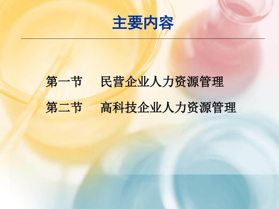 民营企业和高科技企业人力资源管理共21张课件_第1页