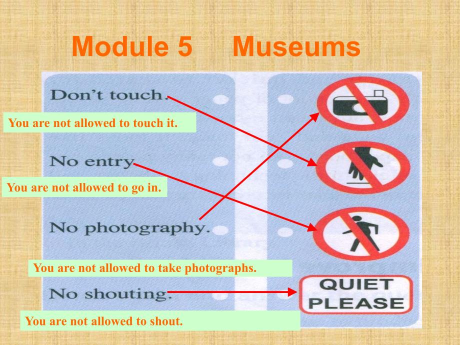 外研版九年级module5_Musem(完整)_第1页