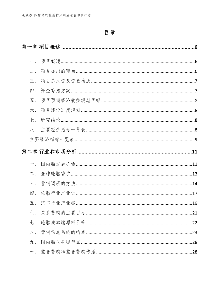 攀枝花轮胎技术研发项目申请报告【模板范文】_第1页