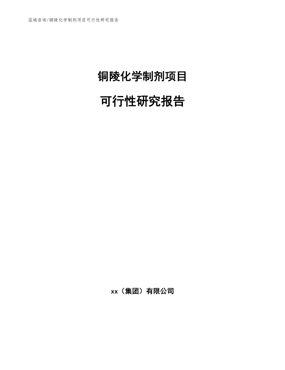 铜陵化学制剂项目可行性研究报告_第1页