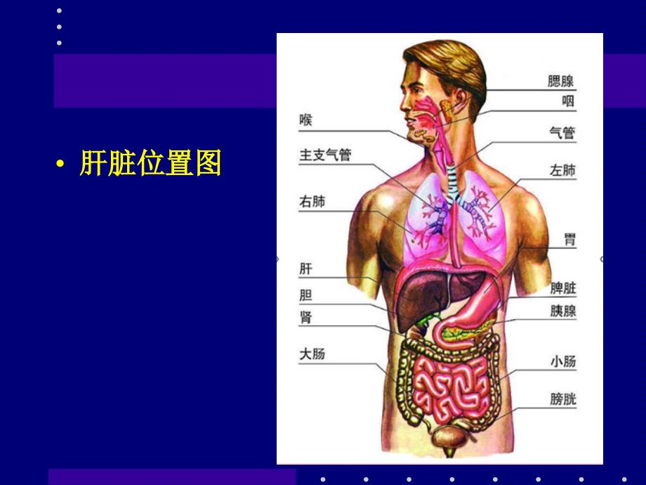 医学课件肝癌介入治疗汇总_第1页