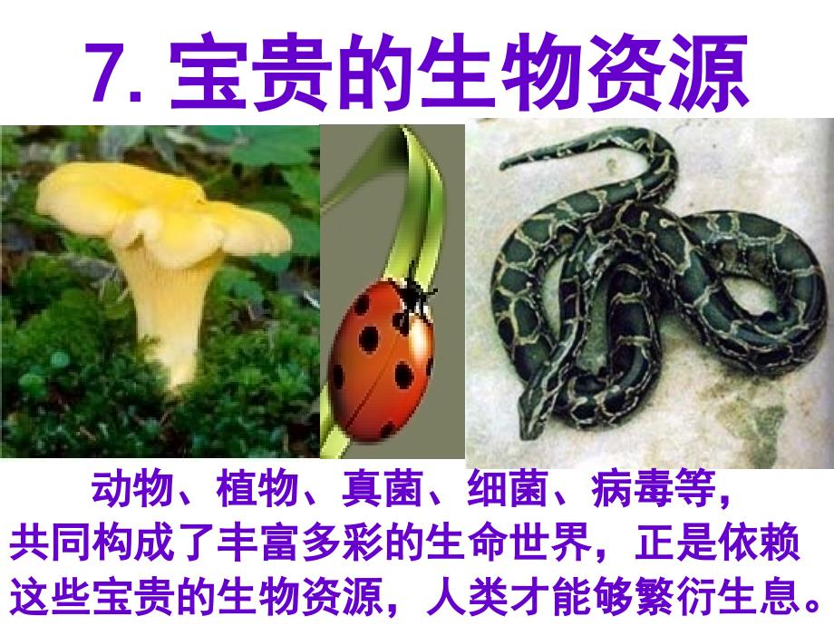 宝贵的生物资源课件_第1页