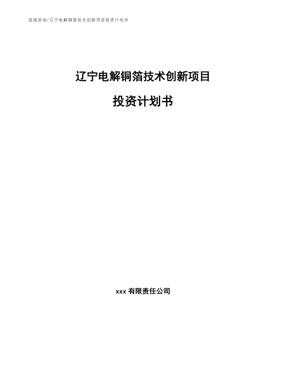 辽宁电解铜箔技术创新项目投资计划书_第1页