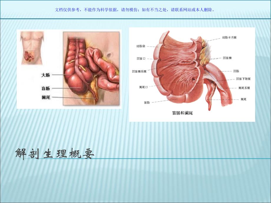 阑尾炎专题讲座课件_第1页