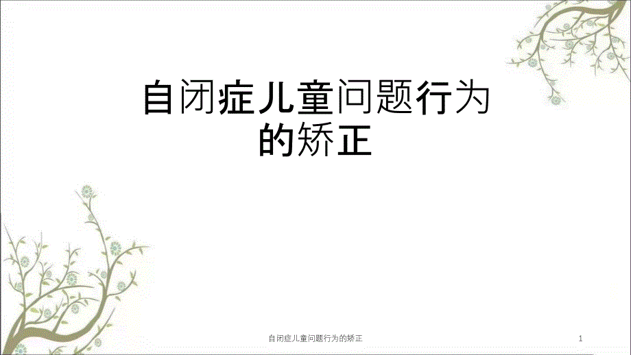 自闭症儿童问题行为的矫正课件_第1页