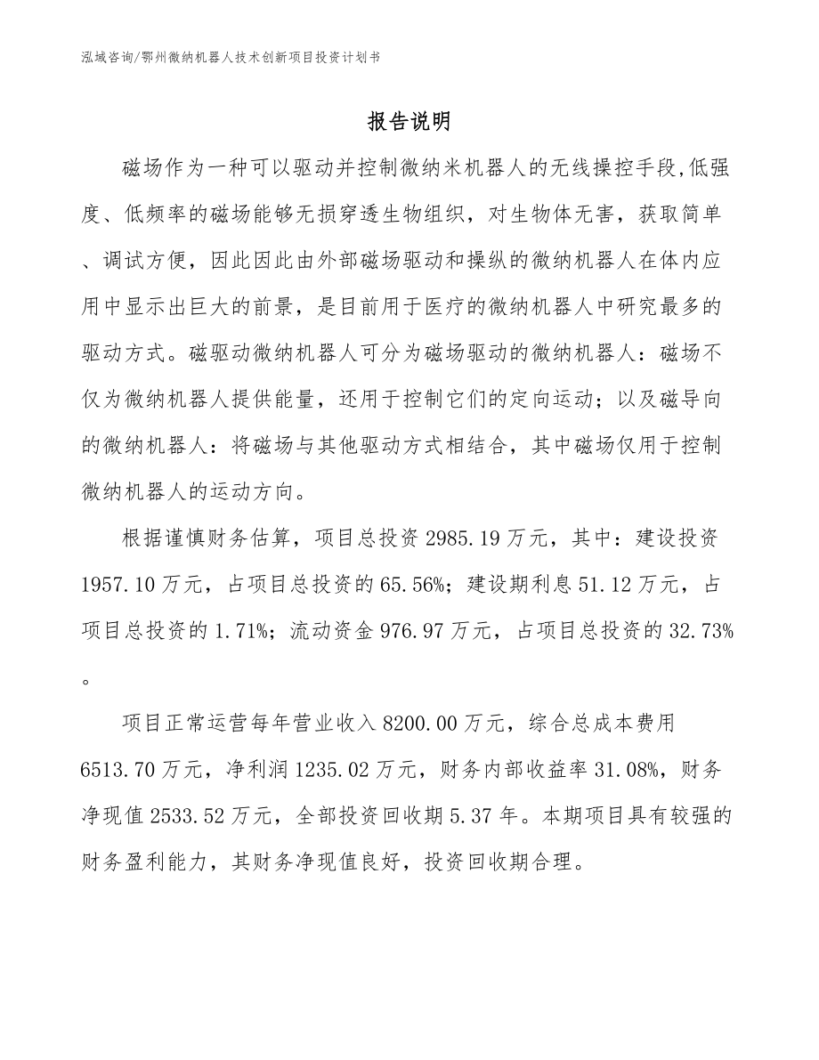 鄂州微纳机器人技术创新项目投资计划书【模板参考】_第1页