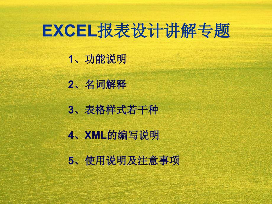 EXCEL报表配置讲解_第1页