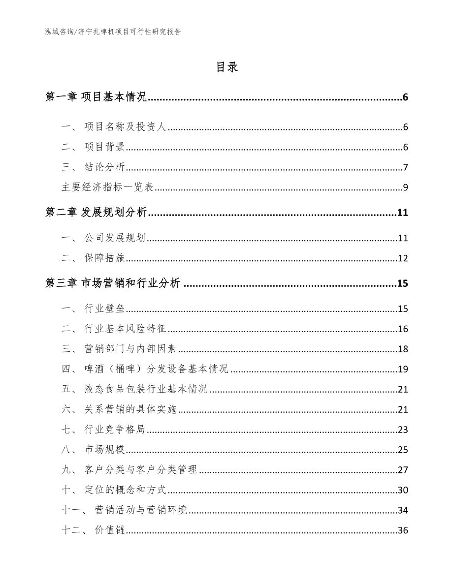 济宁扎啤机项目可行性研究报告（范文）_第1页