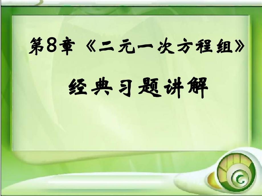 二元一次方程组经典习题讲解-共42张课件_第1页