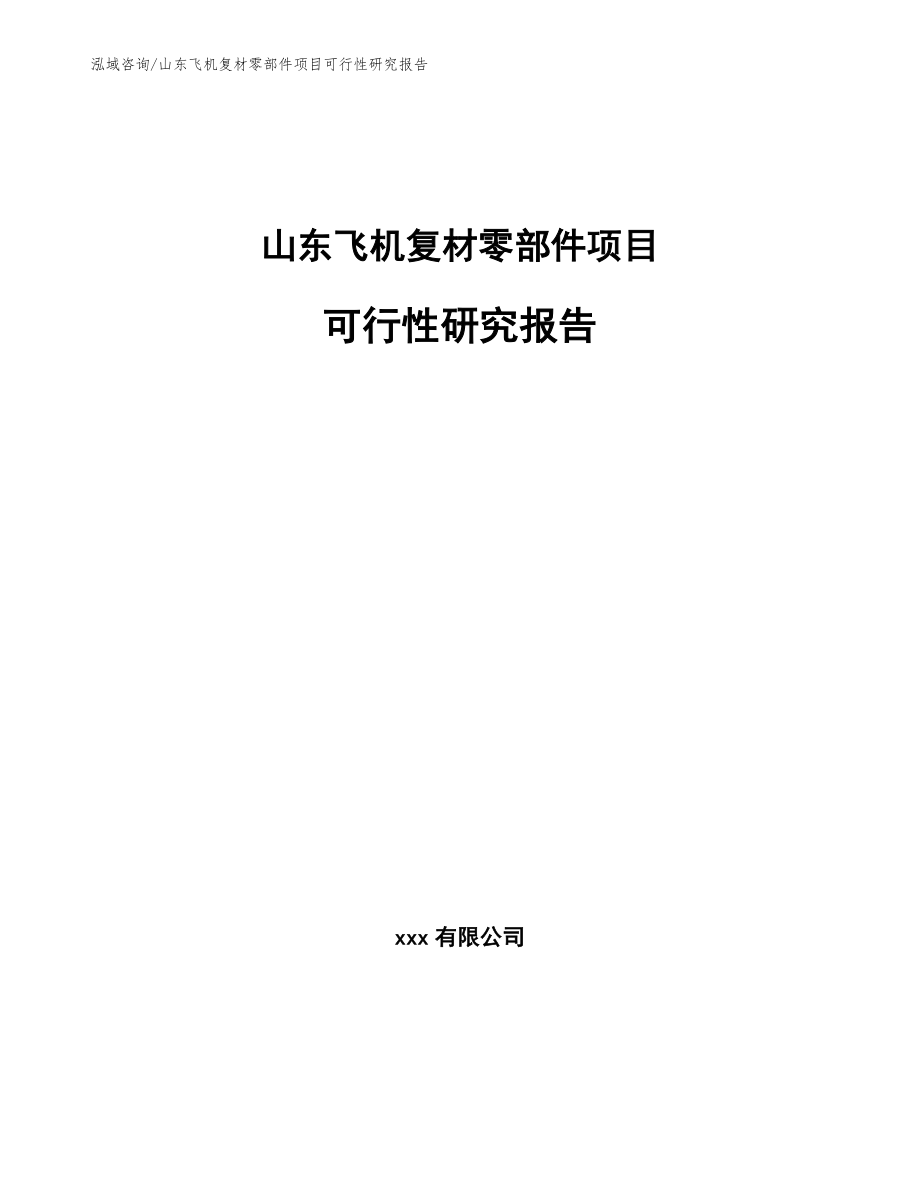 山东飞机复材零部件项目可行性研究报告_第1页