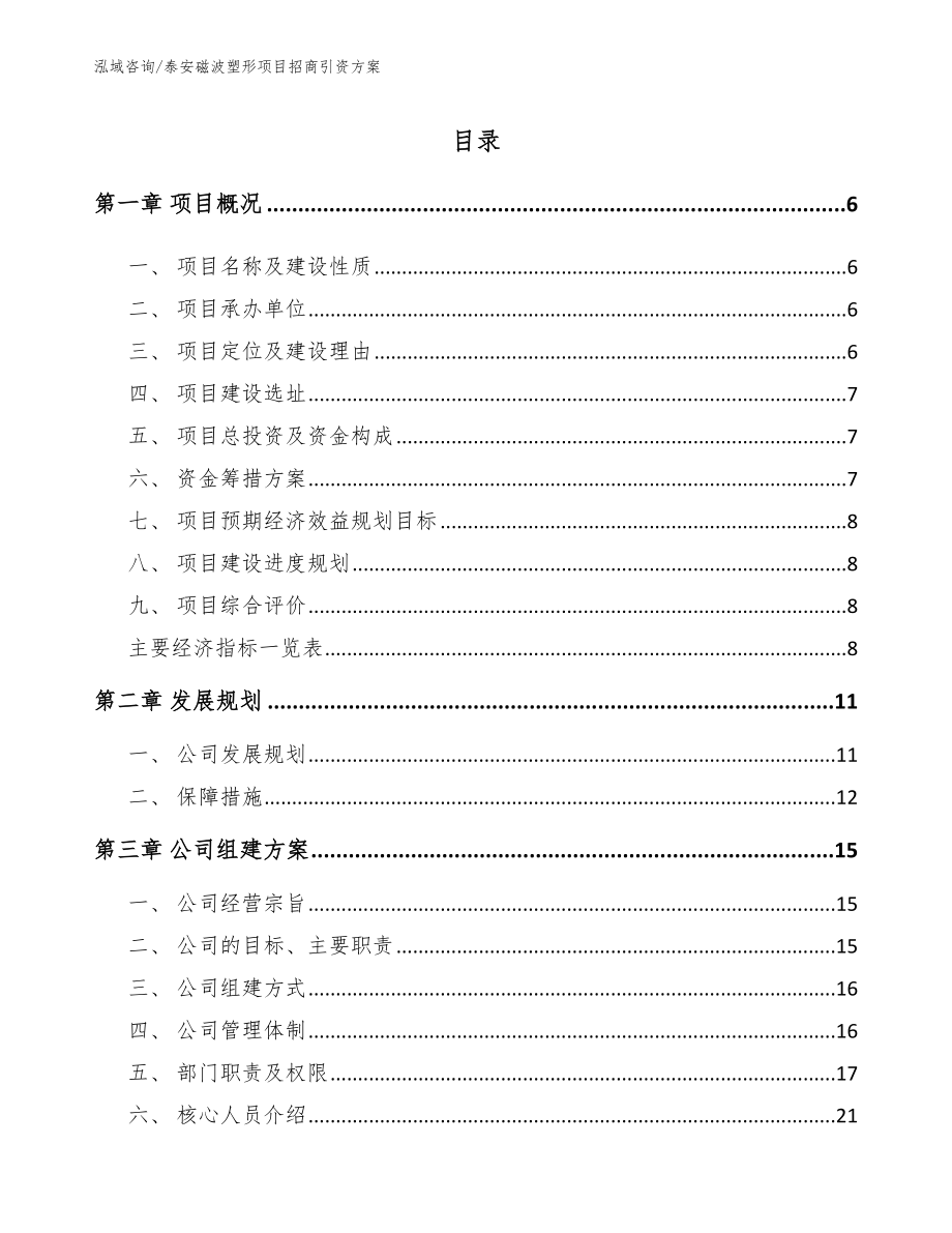 泰安磁波塑形项目招商引资方案模板参考_第1页