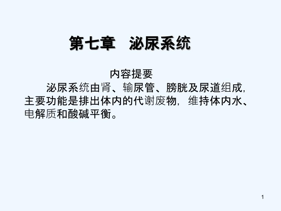 解剖学课件：泌尿系统_第1页