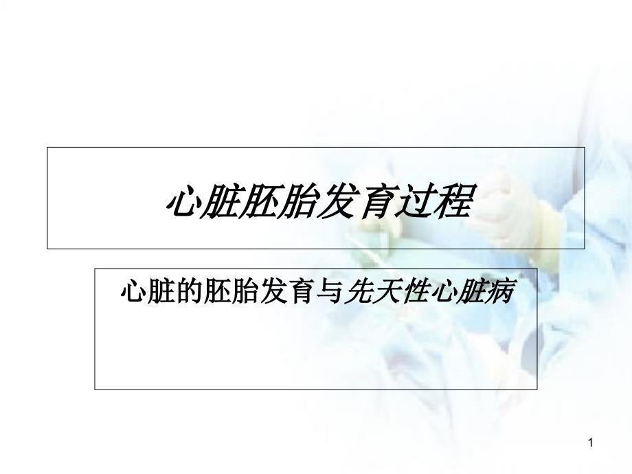 心脏胚胎发育过程医学课件_第1页