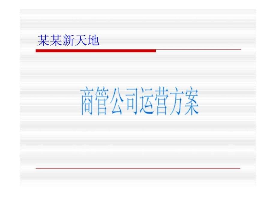 某商业经营管理公司运营方案_第1页