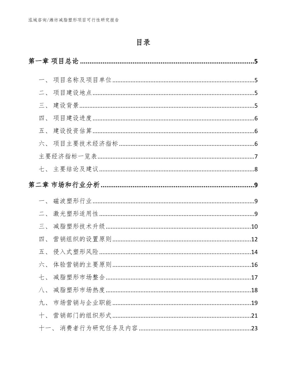 潍坊减脂塑形项目可行性研究报告（模板范文）_第1页
