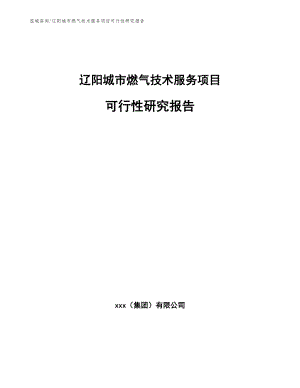 辽阳城市燃气技术服务项目可行性研究报告