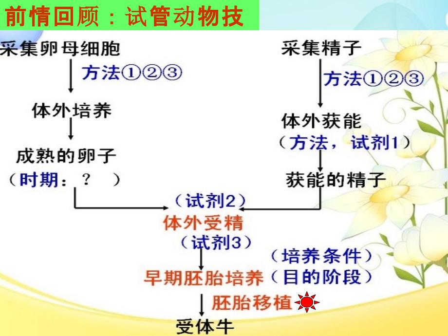 高中生物《胚胎移植》优质教学ppt课件_第1页